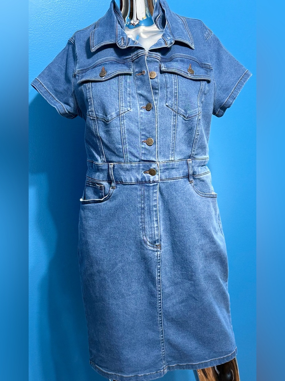 Lark + Grey Women’s Casual Blue Denim Midi Dress with Button-Front M